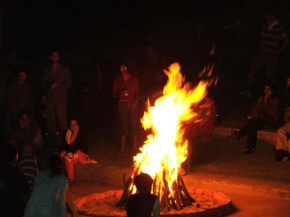 Campfire Haven: A Coffee Plantation Retreat
